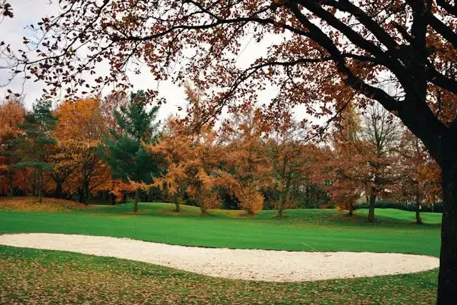 Artificial Turf Experts Boca Raton