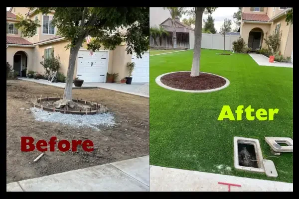 Lawn Turf Boca Raton
