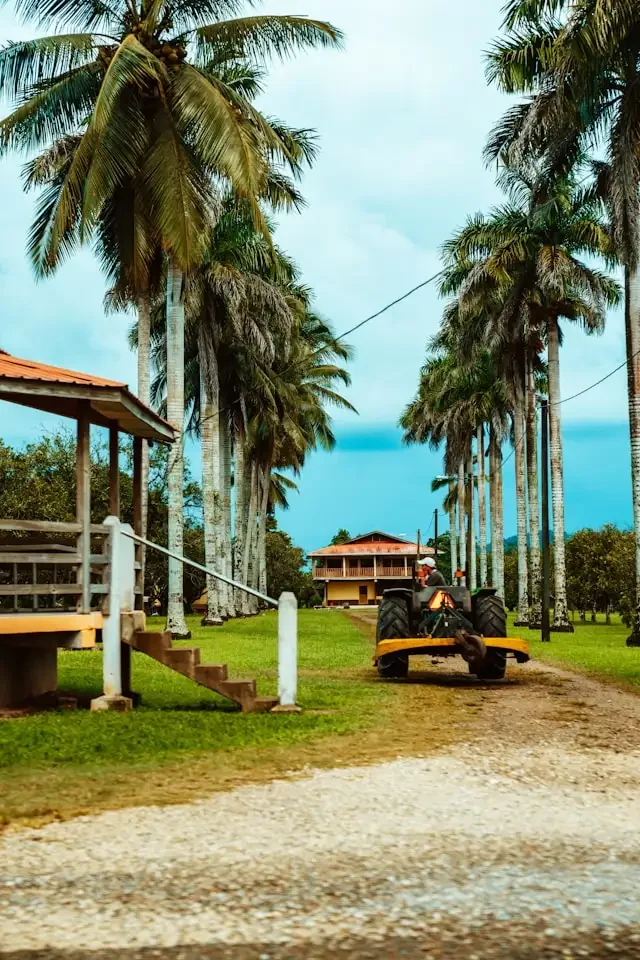 Life in Boca Raton with Turf