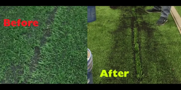 Portfolio - Artificial Turf Maintenance Boca Raton